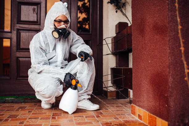 Reliable Wasp Removal contractor in Mitchellville, MD by Show Me Pest Control